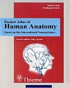 Human Anatomy